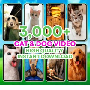 100K+ Viral Reels Mega Bundle – AI Animated, Luxury, Travel, Food & Motivational Shorts for TikTok, Instagram Reels & YouTube Shorts
